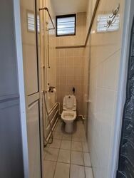 Hougang Avenue 1 (D19), Shop House #532420501